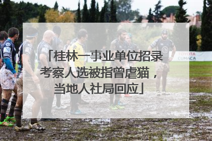 桂林一事业单位招录考察人选被指曾虐猫，当地人社局回应