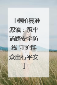桐柏县淮源镇：筑牢道路安全防线 守护群众出行平安