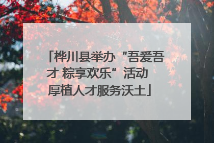 桦川县举办“吾爱吾才 粽享欢乐”活动 厚植人才服务沃土