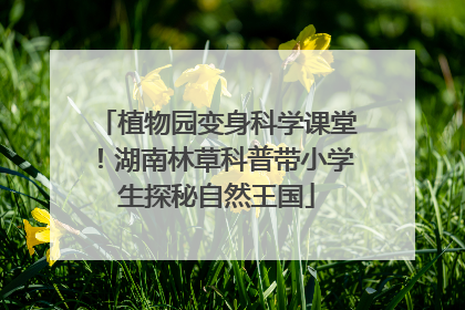 植物园变身科学课堂！湖南林草科普带小学生探秘自然王国