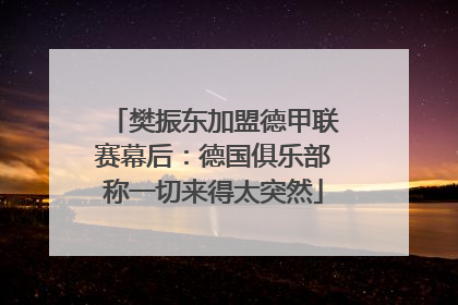 樊振东加盟德甲联赛幕后：德国俱乐部称一切来得太突然