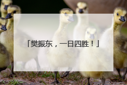 樊振东，一日四胜！