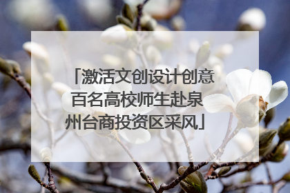 激活文创设计创意 百名高校师生赴泉州台商投资区采风