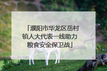 濮阳市华龙区岳村镇人大代表一线助力粮食安全保卫战