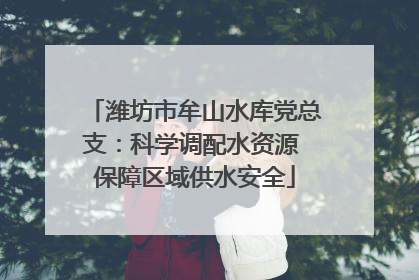 潍坊市牟山水库党总支：科学调配水资源 保障区域供水安全