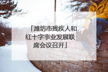 潍坊市残疾人和红十字事业发展联席会议召开