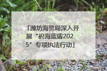 潍坊海警局深入开展“碧海蓝盾2025”专项执法行动