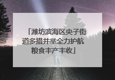 潍坊滨海区央子街道多措并举全力护航粮食丰产丰收