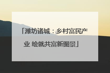 潍坊诸城：乡村富民产业 绘就共富新图景