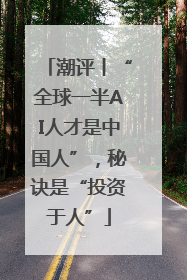 潮评丨“全球一半AI人才是中国人”，秘诀是“投资于人”