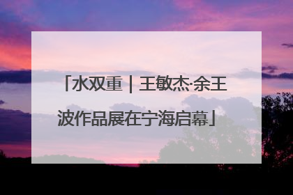 水双重｜王敏杰·余王波作品展在宁海启幕