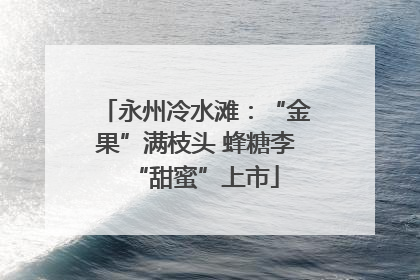 永州冷水滩：“金果”满枝头 蜂糖李“甜蜜”上市