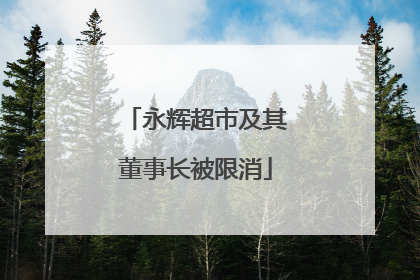 永辉超市及其董事长被限消