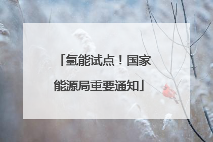 氢能试点！国家能源局重要通知