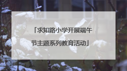 求知路小学开展端午节主题系列教育活动