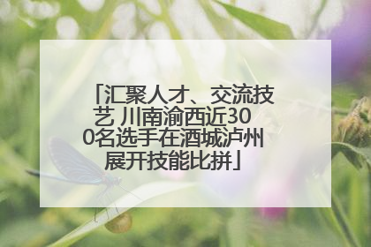 汇聚人才、交流技艺 川南渝西近300名选手在酒城泸州展开技能比拼