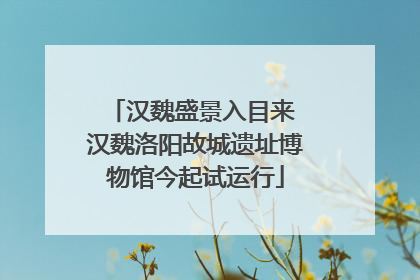 汉魏盛景入目来 汉魏洛阳故城遗址博物馆今起试运行