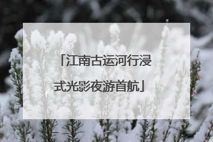 江南古运河行浸式光影夜游首航