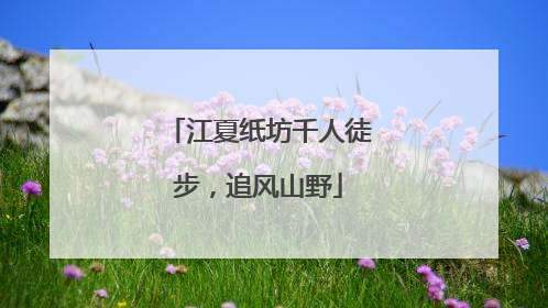江夏纸坊千人徒步，追风山野