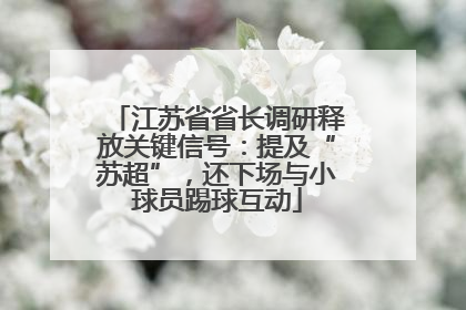 江苏省省长调研释放关键信号：提及“苏超”，还下场与小球员踢球互动