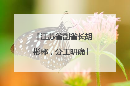 江苏省副省长胡彬郴，分工明确