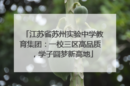 江苏省苏州实验中学教育集团：一校三区高品质，学子圆梦新高地