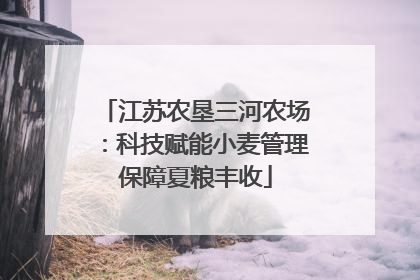 江苏农垦三河农场：科技赋能小麦管理保障夏粮丰收