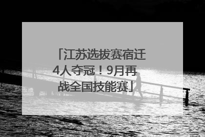 江苏选拔赛宿迁4人夺冠！9月再战全国技能赛