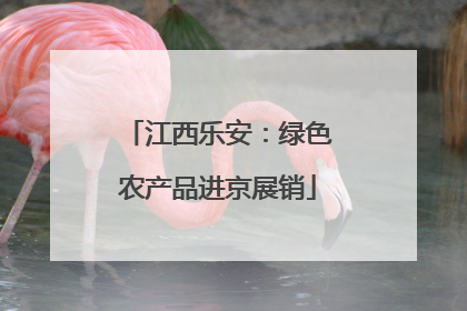江西乐安：绿色农产品进京展销