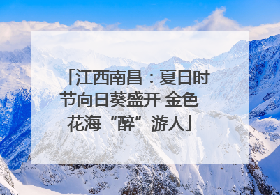 江西南昌：夏日时节向日葵盛开 金色花海“醉”游人