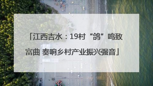 江西吉水：19村“鸽”鸣致富曲 奏响乡村产业振兴强音