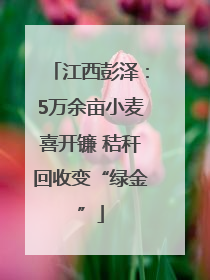 江西彭泽：5万余亩小麦喜开镰 秸秆回收变“绿金”