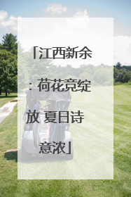 江西新余：荷花竞绽放 夏日诗意浓