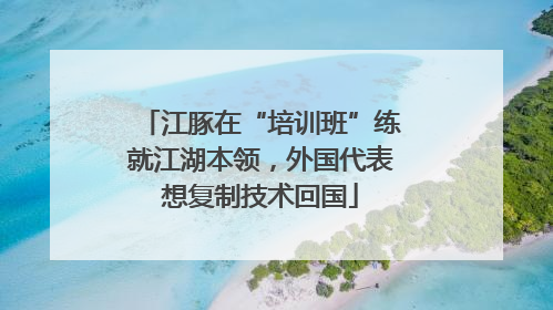 江豚在“培训班”练就江湖本领，外国代表想复制技术回国