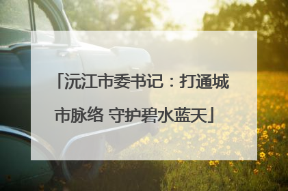 沅江市委书记：打通城市脉络 守护碧水蓝天