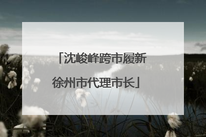 沈峻峰跨市履新徐州市代理市长