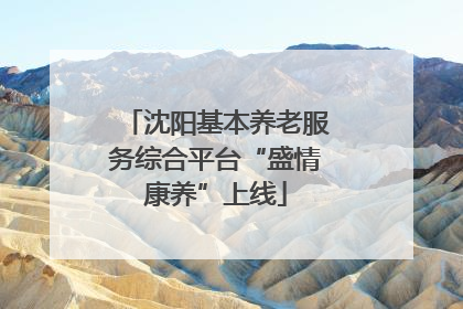 沈阳基本养老服务综合平台“盛情康养”上线