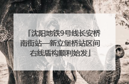 沈阳地铁9号线长安桥南街站—新立堡桥站区间右线盾构顺利始发