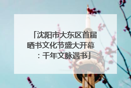 沈阳市大东区首届晒书文化节盛大开幕：千年文脉遇书