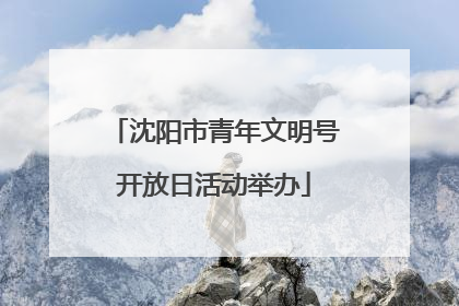 沈阳市青年文明号开放日活动举办