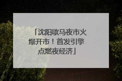 沈阳歇马夜市火爆开市！首发引擎点燃夜经济