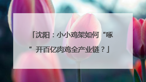 沈阳：小小鸡架如何“啄”开百亿肉鸡全产业链？