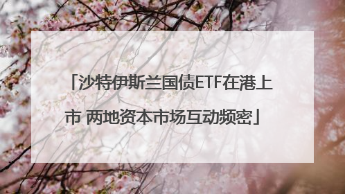 沙特伊斯兰国债ETF在港上市 两地资本市场互动频密