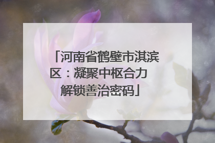 河南省鹤壁市淇滨区：凝聚中枢合力 解锁善治密码