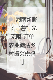 河南新野：“薯”光无限 订单农业激活乡村振兴密码