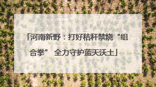河南新野：打好秸秆禁烧“组合拳” 全力守护蓝天沃土