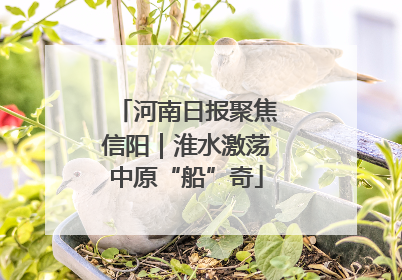 河南日报聚焦信阳｜淮水激荡中原“船”奇