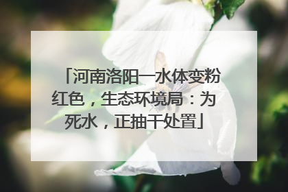 河南洛阳一水体变粉红色，生态环境局：为死水，正抽干处置