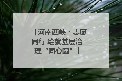 河南西峡：志愿同行 绘就基层治理“同心圆”