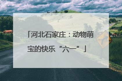 河北石家庄：动物萌宝的快乐“六一”